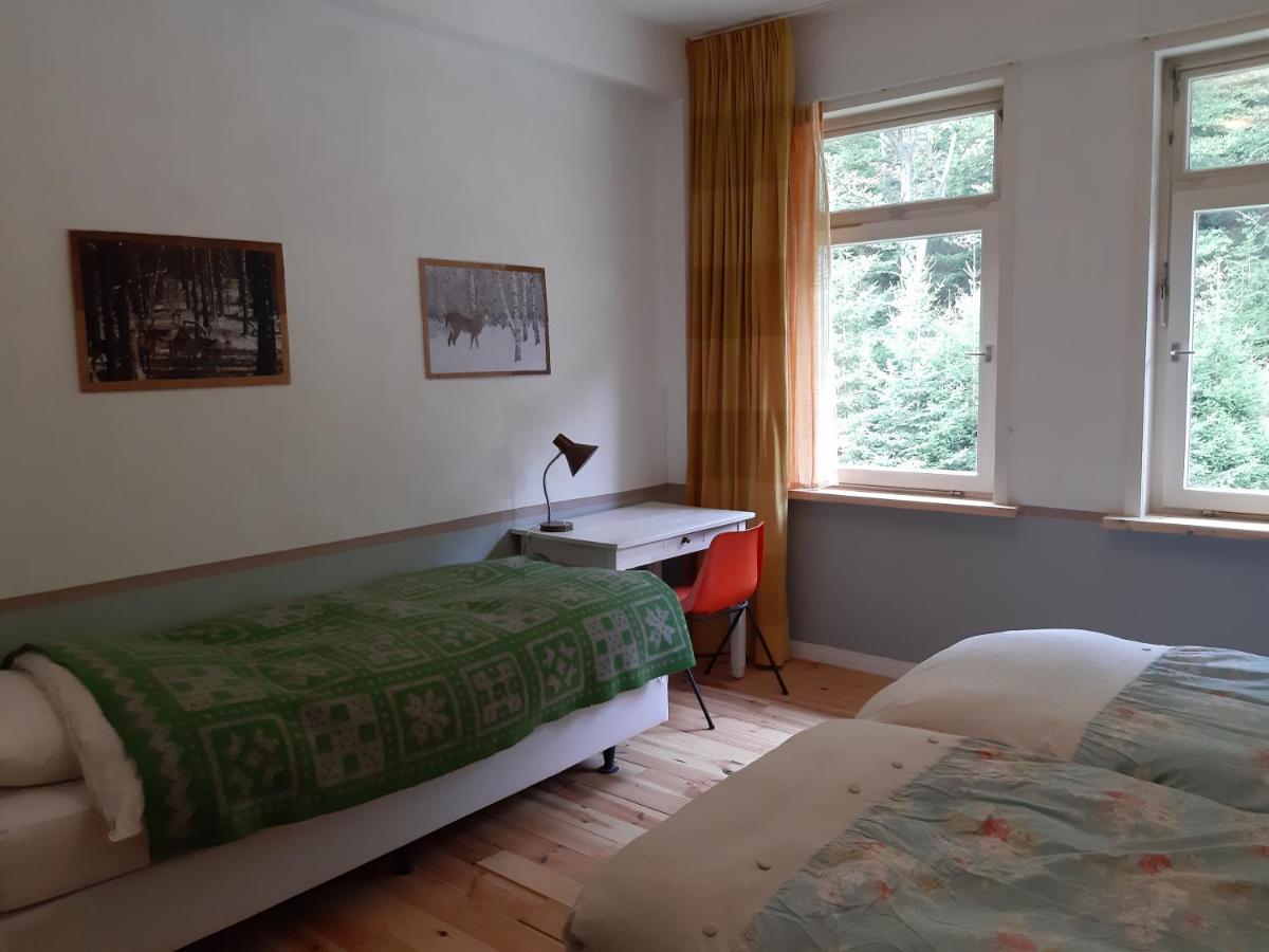 Das Okerhaus Vegetarische B&B Mit Halbpension Altenau  Extérieur photo